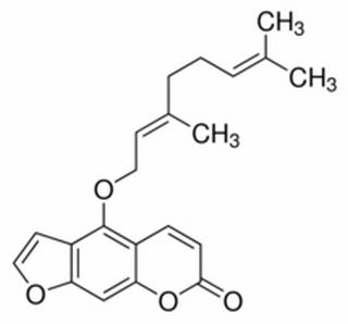 佛手柑素 CAS：7380-40-7 中藥對照品標(biāo)準(zhǔn)品